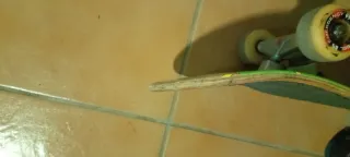 Skate verde con diseño