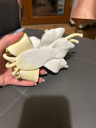 Fiori di Capodimonte