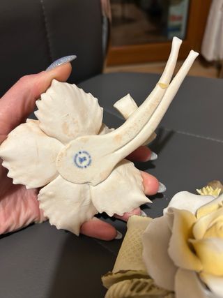 Fiori di Capodimonte