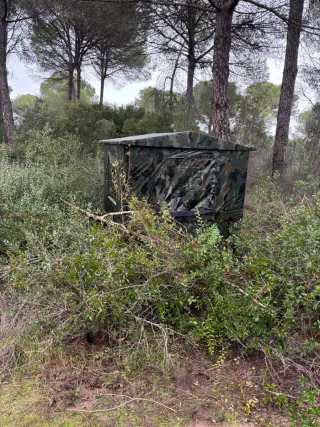 Puesto rececho jabalí madera