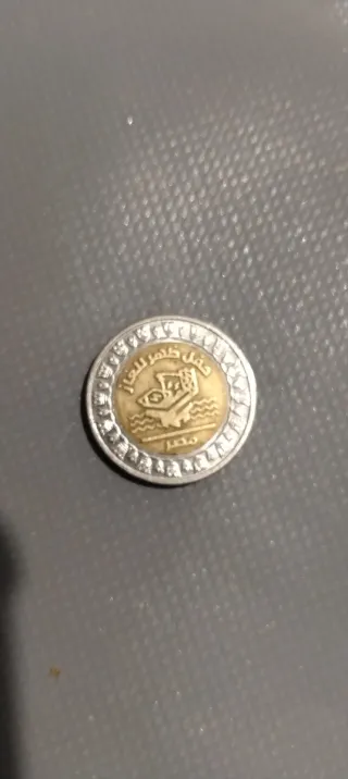 Moneda 1 Libra Egipcia:Moneda, Egipto, Parc solair