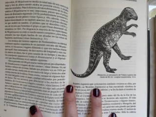 La verdadera historia de los dinosaurios