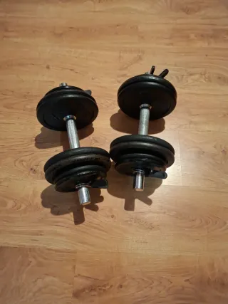 Mancuernas ajustables 24kg