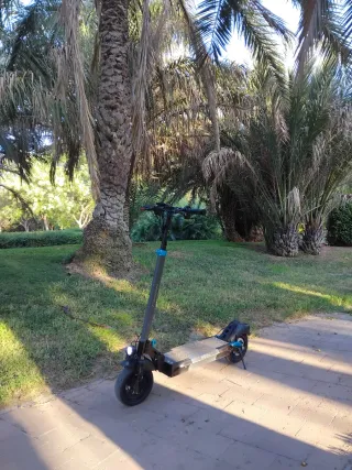 Patinete Eléctrico Smartgyro Rockway