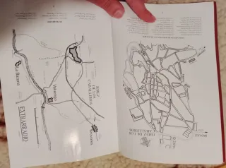 Piedras armeras de Jerez de los Caballeros