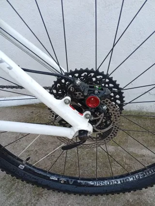 Bicicleta MTB Massi 29 Monoplato 1x12