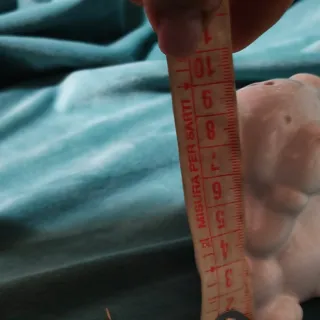 Porta stuzzicadenti cane bianco