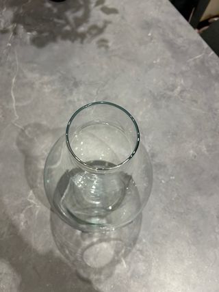 Jarrón terrario de cristal