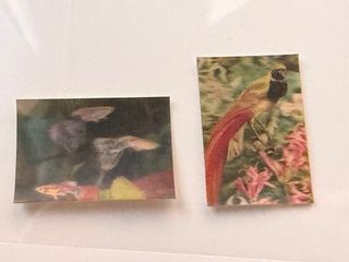 Cromos Panrico Animales 3D 1975