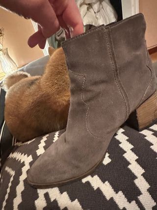 Botines grises Superdry