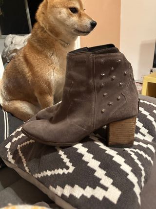 Botines grises Superdry