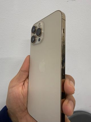 iPhone 13 Pro Max 256GB 91% batteria