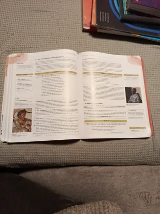 Lengua castellana y literatura 1 Bachillerato