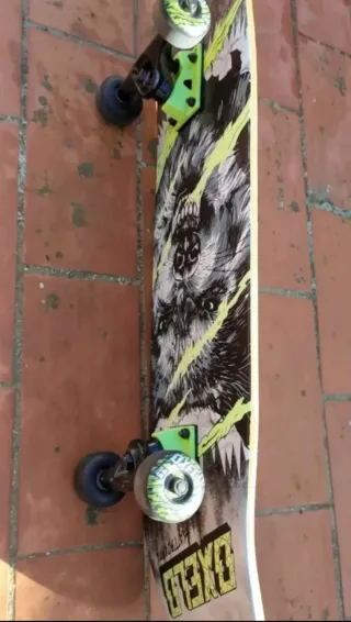 Skate OXELO Lobo