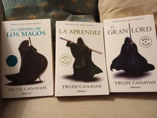 Ell gremio de los magos, la aprendiz, gran lord