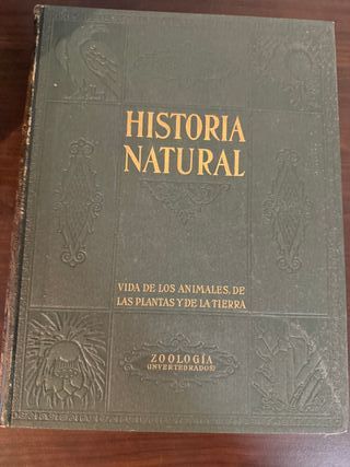 Colecciones Instituto Gallach. Ed. 1932.