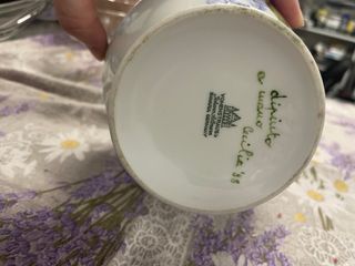 Vaso porcellana vohenstrauss vintage dipintoa mano