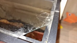 Acuario 20L con piedras