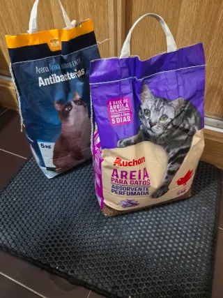 Arena y alfombra para gatos