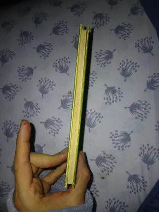 Quidditch a través de los tiempos