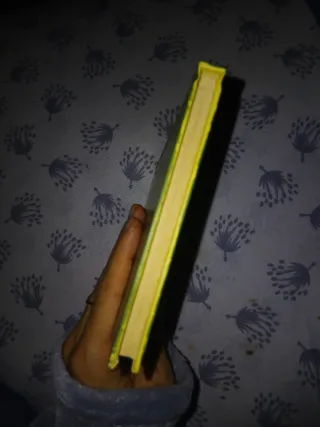 Quidditch a través de los tiempos