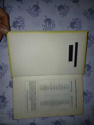 Quidditch a través de los tiempos