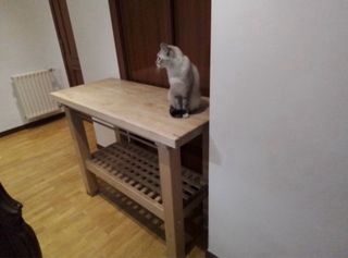 Mesa alta o banco de trabajo en madera maciza