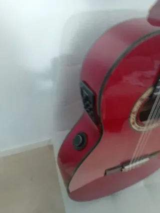 Guitarra Flamenca doble amplificacion