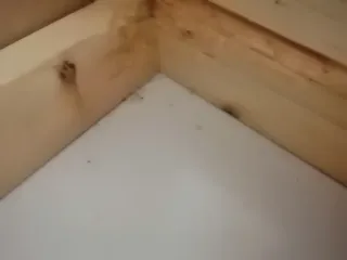 Gabbia in legno e plexiglass per roditori