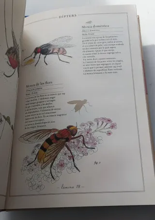 Inventari il•lustrat insectes Stich Dinosaurios