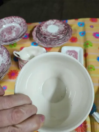 Lote de 6 piezas Vintage Johnson Bros Rosa