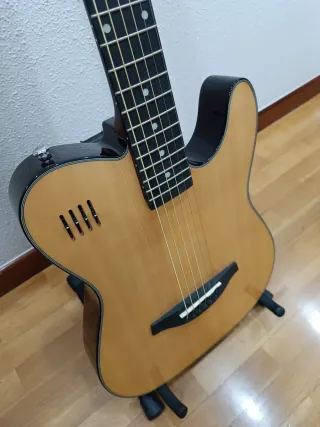 Guitarra James Neligan