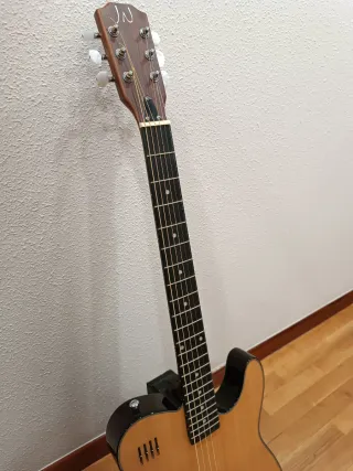 Guitarra James Neligan