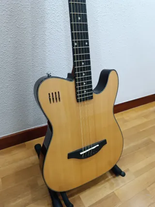 Guitarra James Neligan