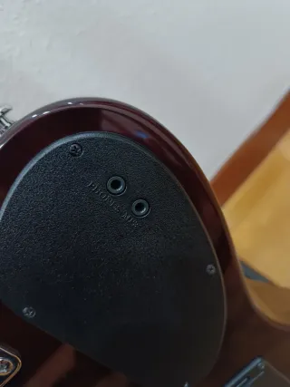 Guitarra James Neligan