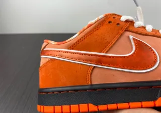 Nike SB x Concepts Naranja Negro