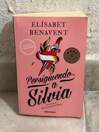 Persiguiendo a silvia