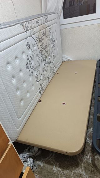 Vitrina expositora negra y transparente