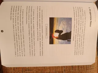 Monitor deportivo en fútbol