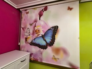 3 Estores paisajes 160x170cm (15€ c/u)