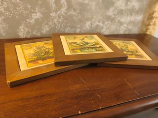 3 Stampe Botaniche Antichizzate farmacia vintage