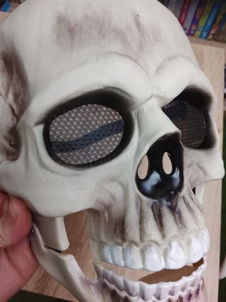 Careta calavera disfraz adulto Halloween Carnaval