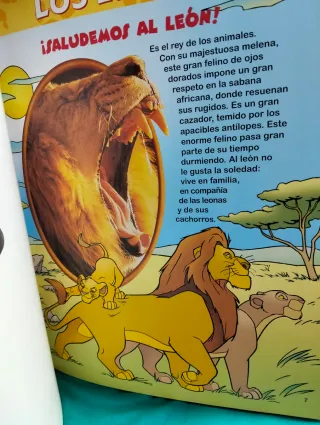 Lote de 26 libros animales Disney