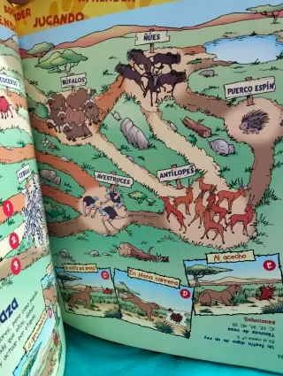 Lote de 26 libros animales Disney