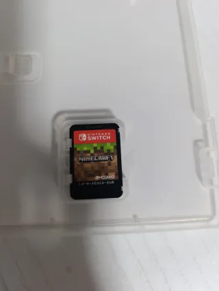 Minecraft Nintendo Switch