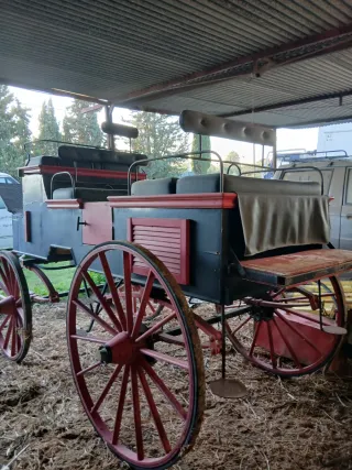 Coche de caballos clásico