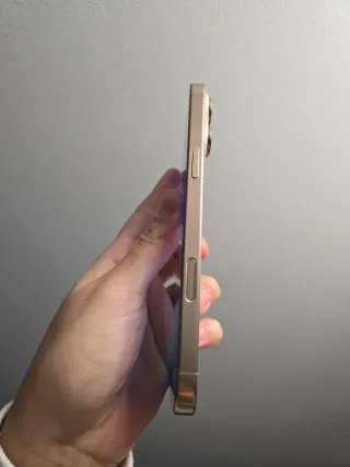 iPhone 14 Pro Max Dorado