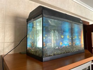 Pecera 59x37x30 cm