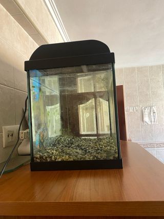 Pecera 59x37x30 cm