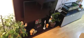 Conjunto de Mueble de madera robusto